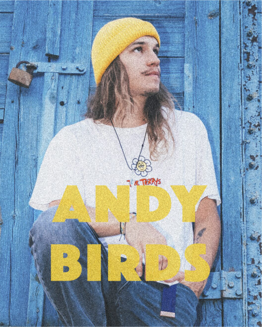 ANDY BIRDS